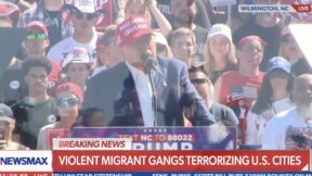 Trump harris incompetent